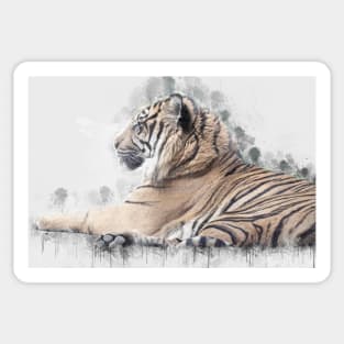 Tiger Wild Animal Safari Africa Feline Jungle_ Sticker